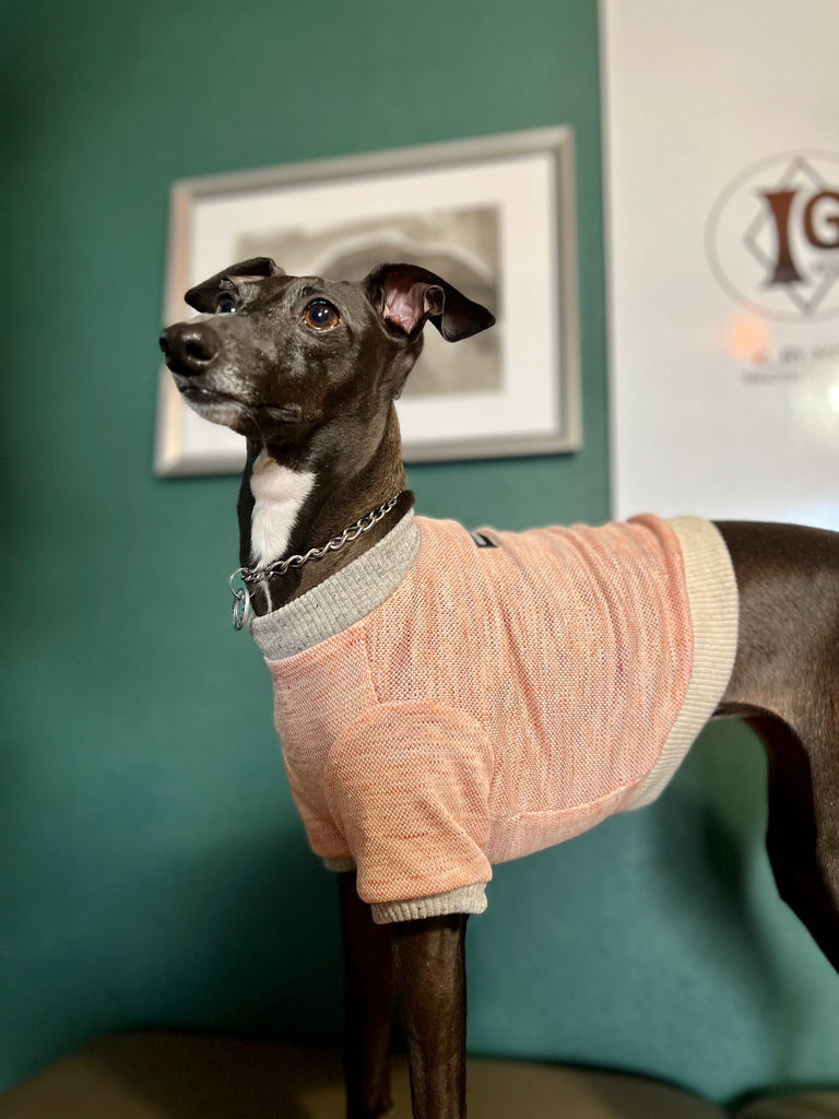 "go-to" Linen half Sleeve T-shirt salmon orange