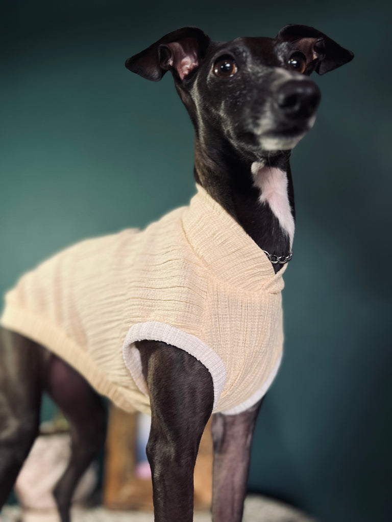 "HYGGE2"リンクルワープ Knit No-sleeve Yellow Color