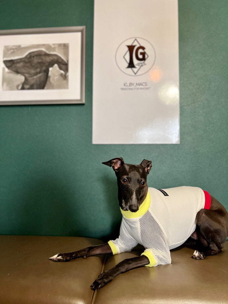 "go-to" mesh sleeve T-Shirt Fluorescent