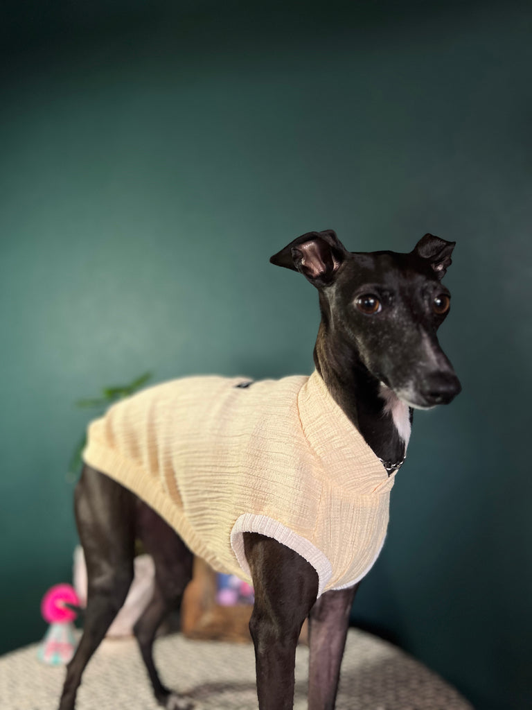 "HYGGE2"リンクルワープ Knit No-sleeve Yellow Color