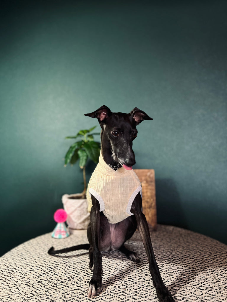 "HYGGE2"リンクルワープ Knit No-sleeve Yellow Color