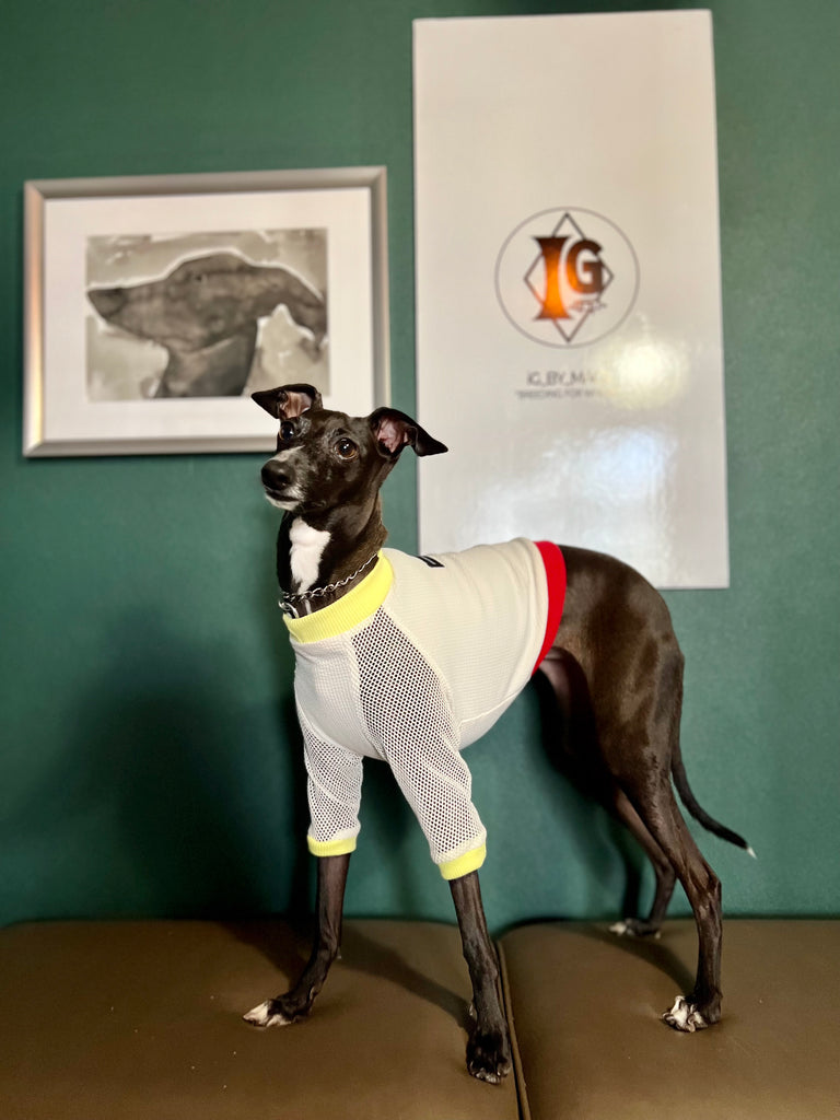 "go-to" mesh sleeve T-Shirt Fluorescent