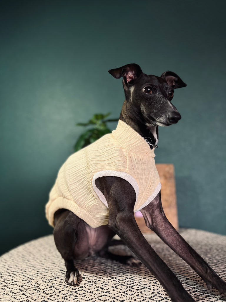 "HYGGE2"リンクルワープ Knit No-sleeve Yellow Color