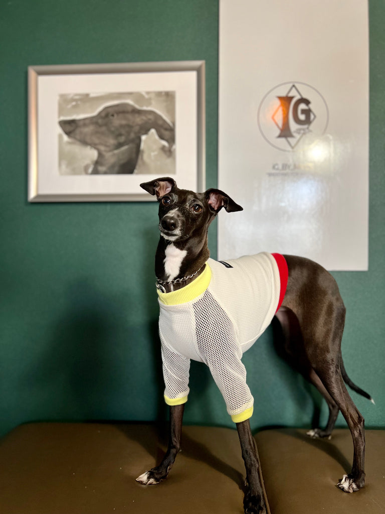 "go-to" mesh sleeve T-Shirt Fluorescent