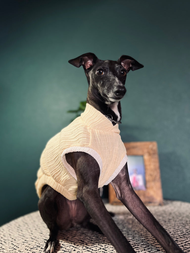 "HYGGE2"リンクルワープ Knit No-sleeve Yellow Color
