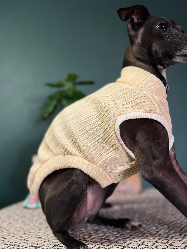 "HYGGE2"リンクルワープ Knit No-sleeve Yellow Color
