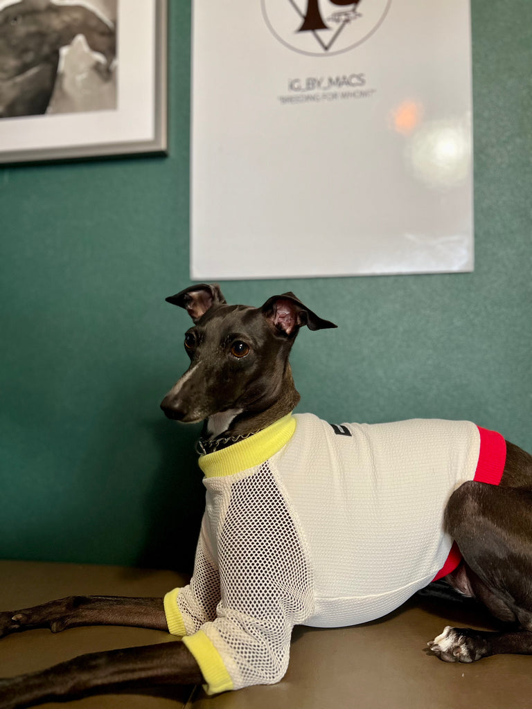 "go-to" mesh sleeve T-Shirt Fluorescent