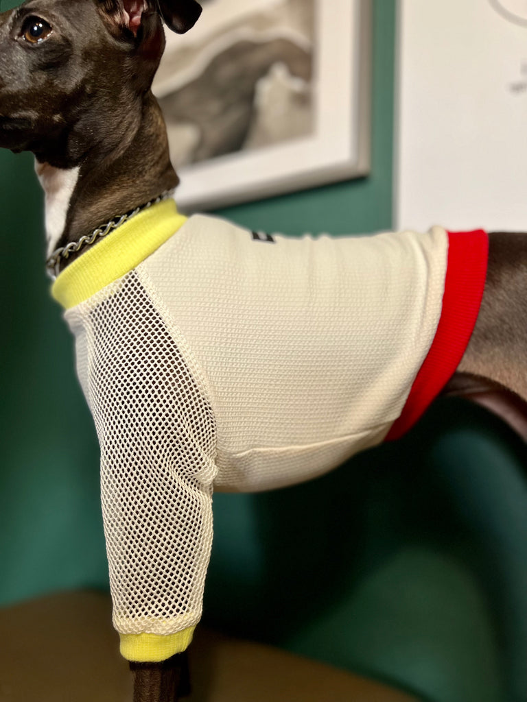 "go-to" mesh sleeve T-Shirt Fluorescent