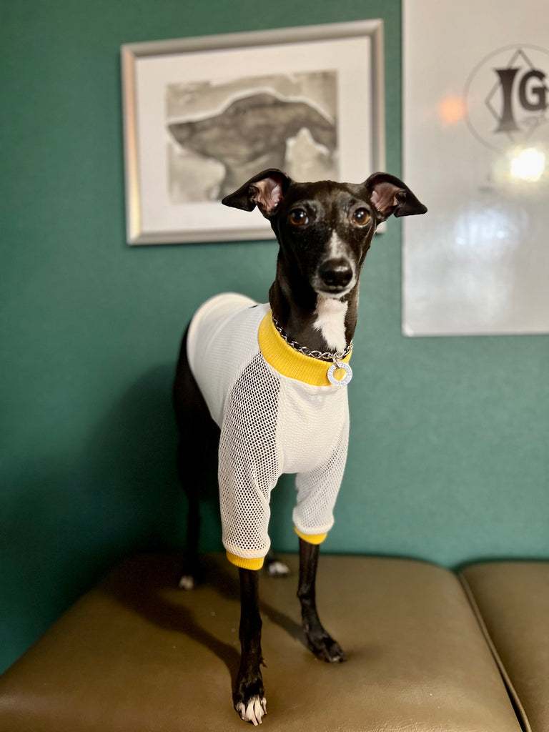 "go-to"  T-Shirt  mesh sleeve Yellow