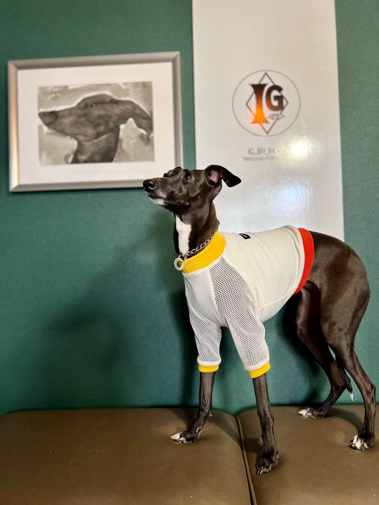 "go-to"  T-Shirt  mesh sleeve Yellow