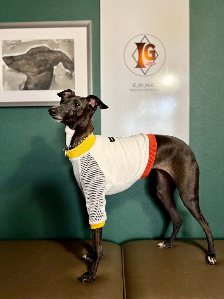 "go-to"  T-Shirt  mesh sleeve Yellow