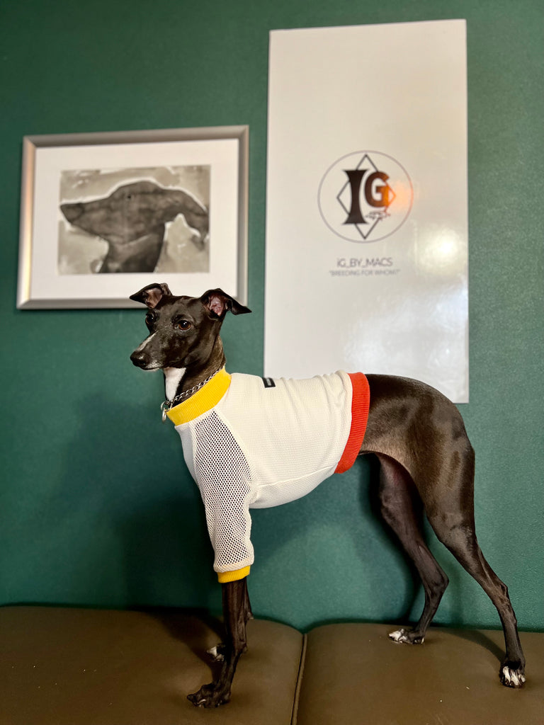 "go-to"  T-Shirt  mesh sleeve Yellow