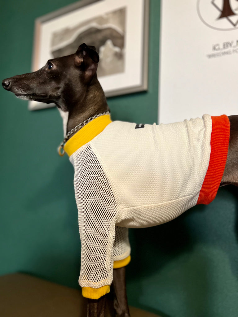 "go-to"  T-Shirt  mesh sleeve Yellow