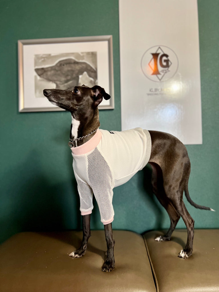 "go-to" mesh sleeve T-Shirt pink