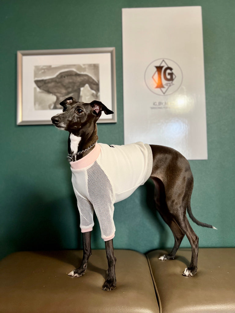 "go-to" mesh sleeve T-Shirt pink