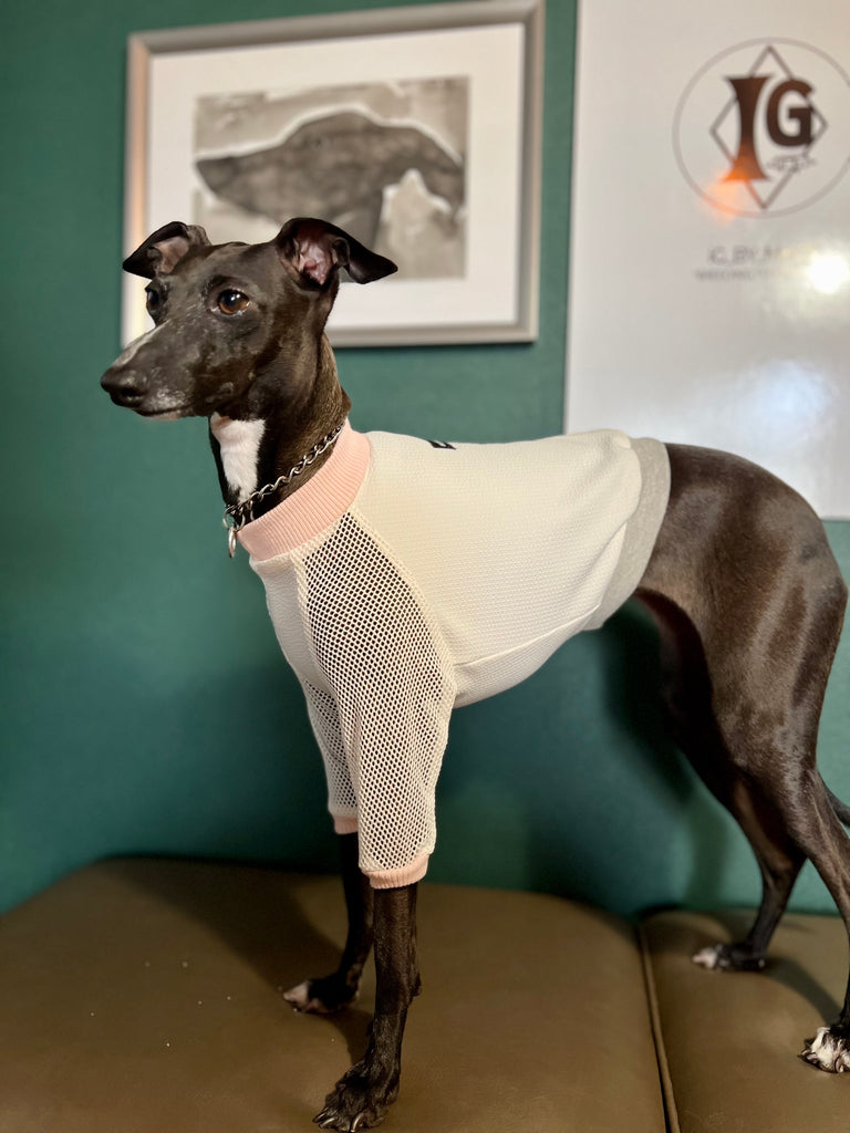 "go-to" mesh sleeve T-Shirt pink