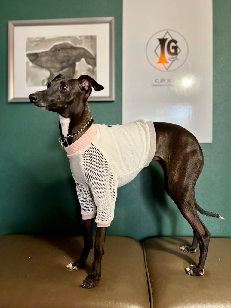 "go-to" mesh sleeve T-Shirt pink