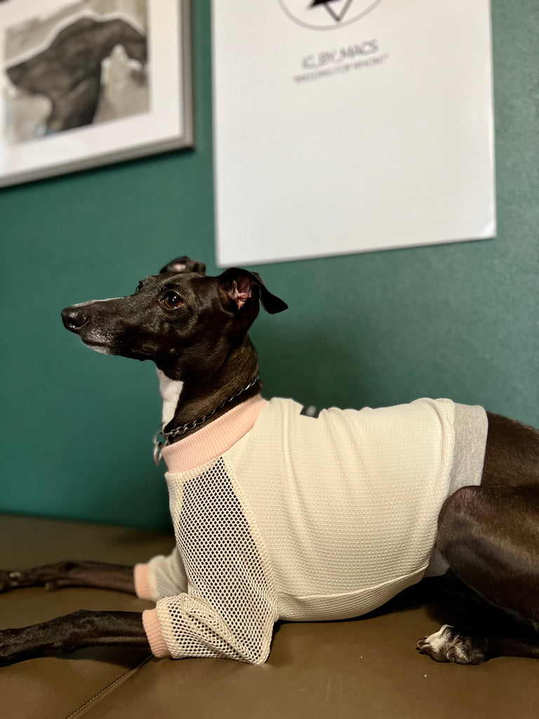 "go-to" mesh sleeve T-Shirt pink