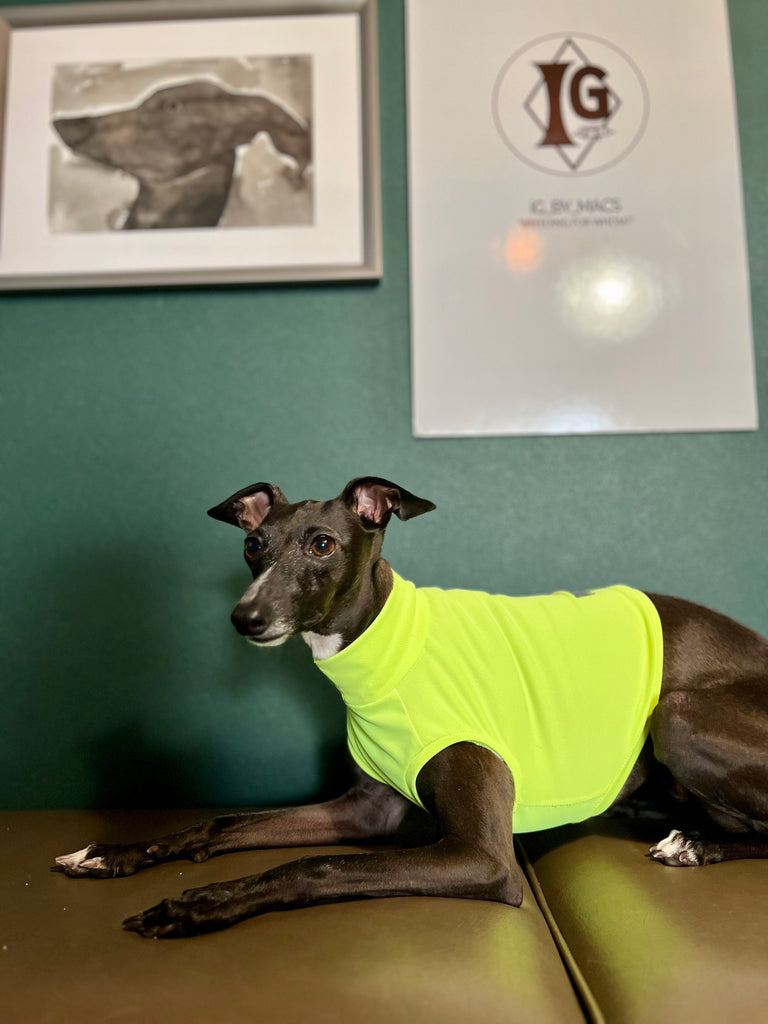 "go-to" UV Cut, Cool fabric No-Sleeve sport