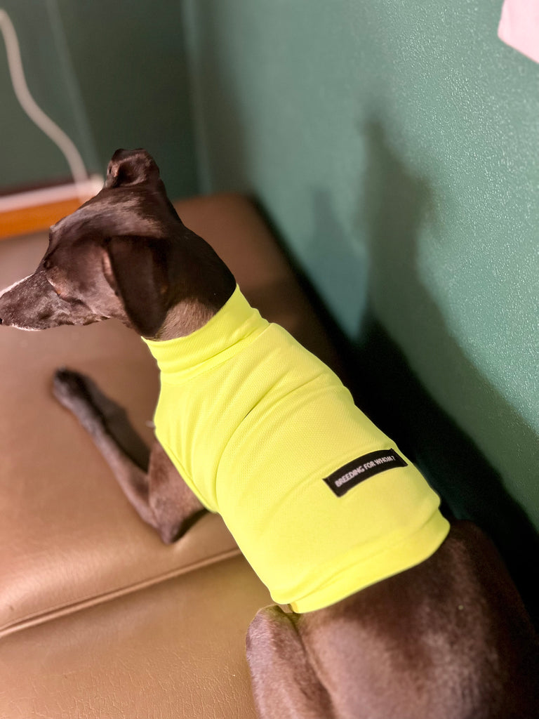 "go-to" UV Cut, Cool fabric No-Sleeve sport