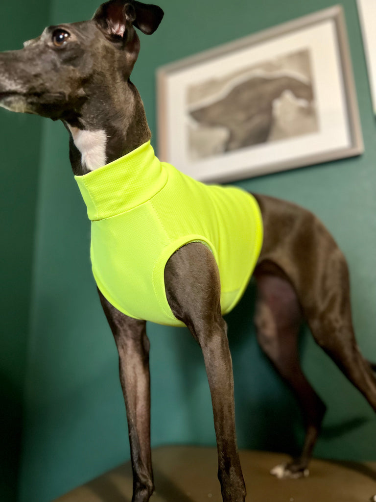 "go-to" UV Cut, Cool fabric No-Sleeve sport