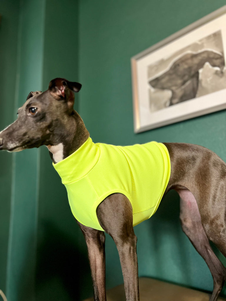 "go-to" UV Cut, Cool fabric No-Sleeve sport