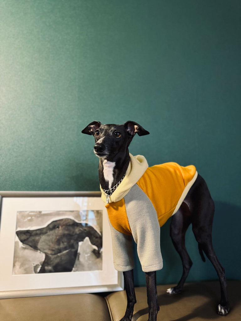 "HYGGE" Ponchknit Pullover Hoodie-Yellow Color
