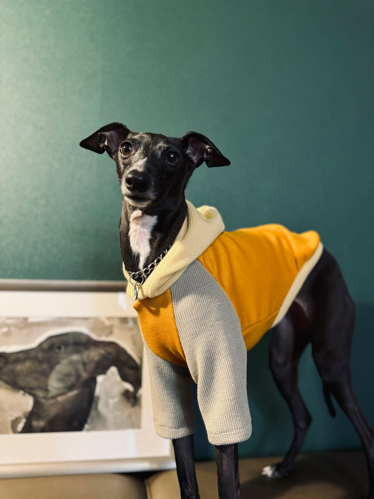 "HYGGE" Ponchknit Pullover Hoodie-Yellow Color