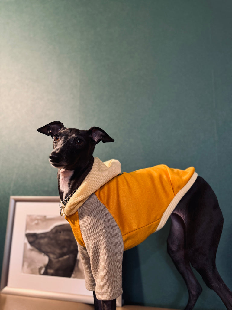 "HYGGE" Ponchknit Pullover Hoodie-Yellow Color