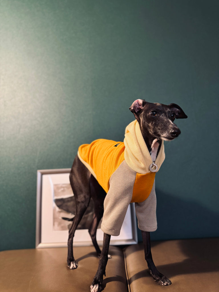 "HYGGE" Ponchknit Pullover Hoodie-Yellow Color