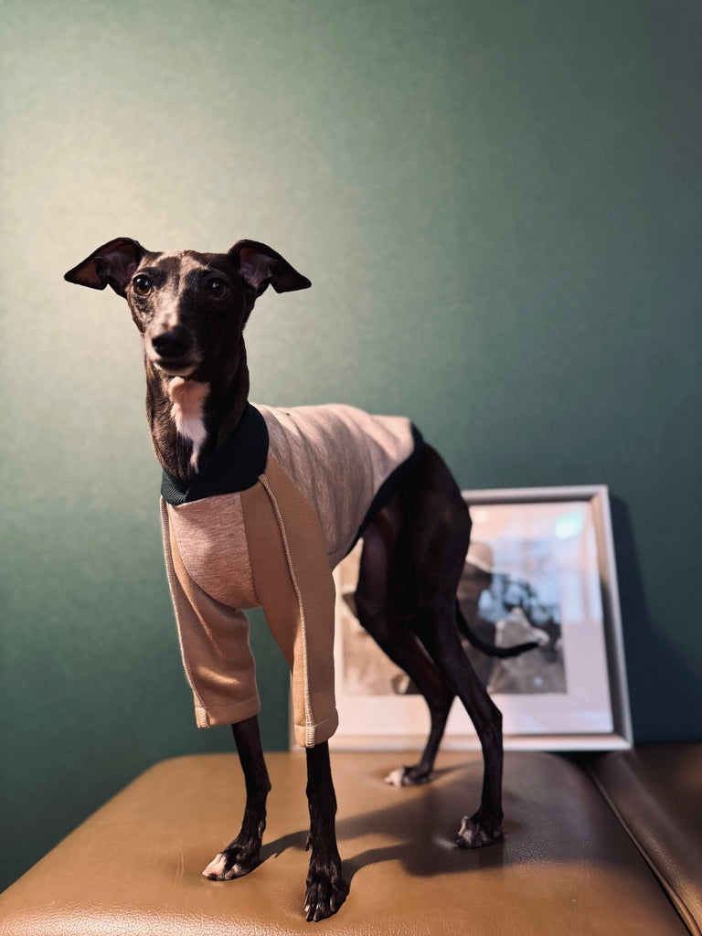 "HYGGE" Bonding Knit None Darts Pullover- Beige color