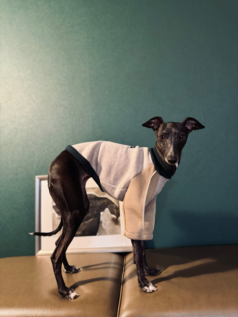 "HYGGE" Bonding Knit None Darts Pullover- Beige color