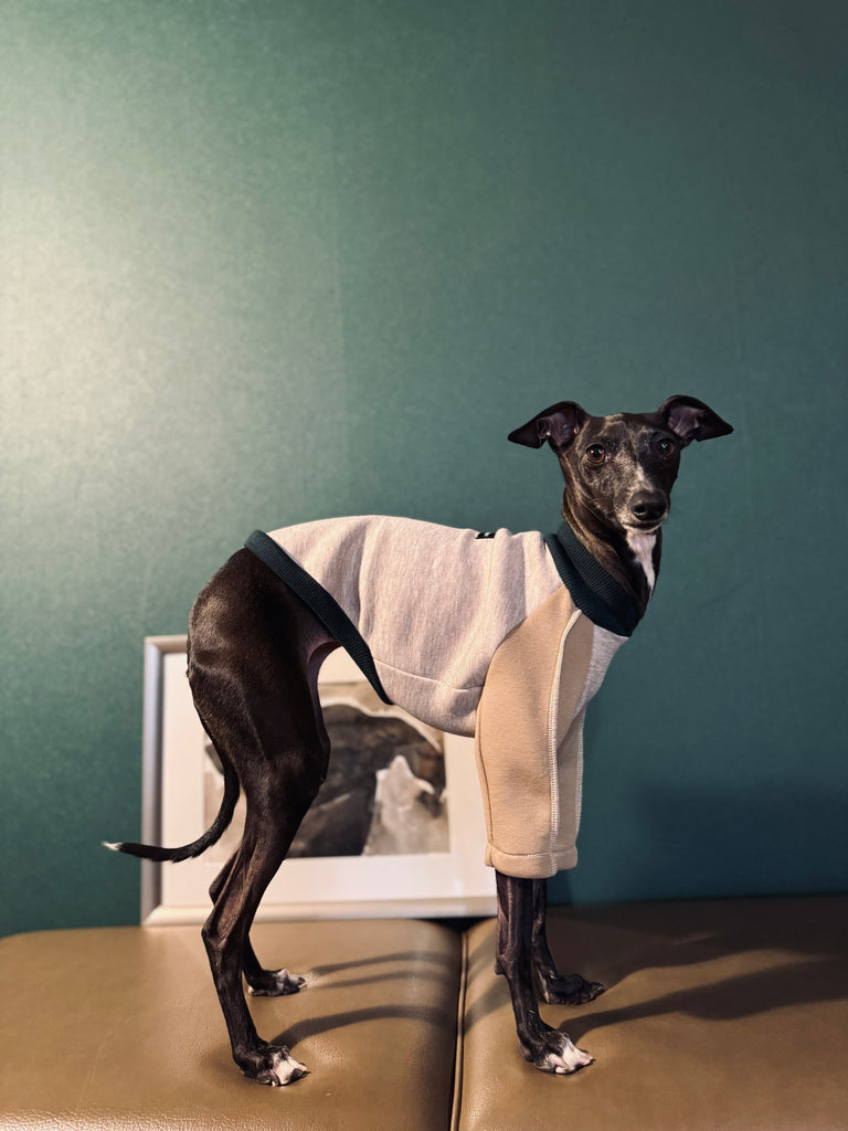 "HYGGE" Bonding Knit None Darts Pullover- Beige color