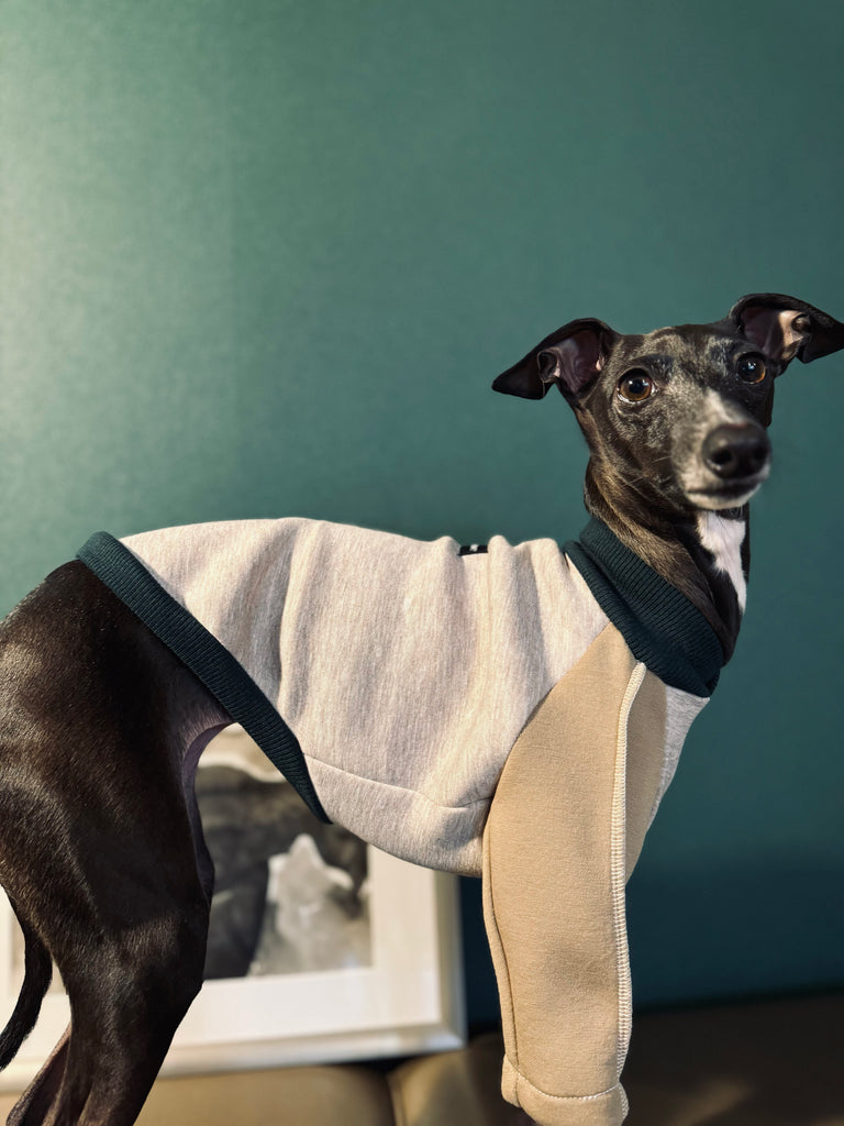 "HYGGE" Bonding Knit None Darts Pullover- Beige color