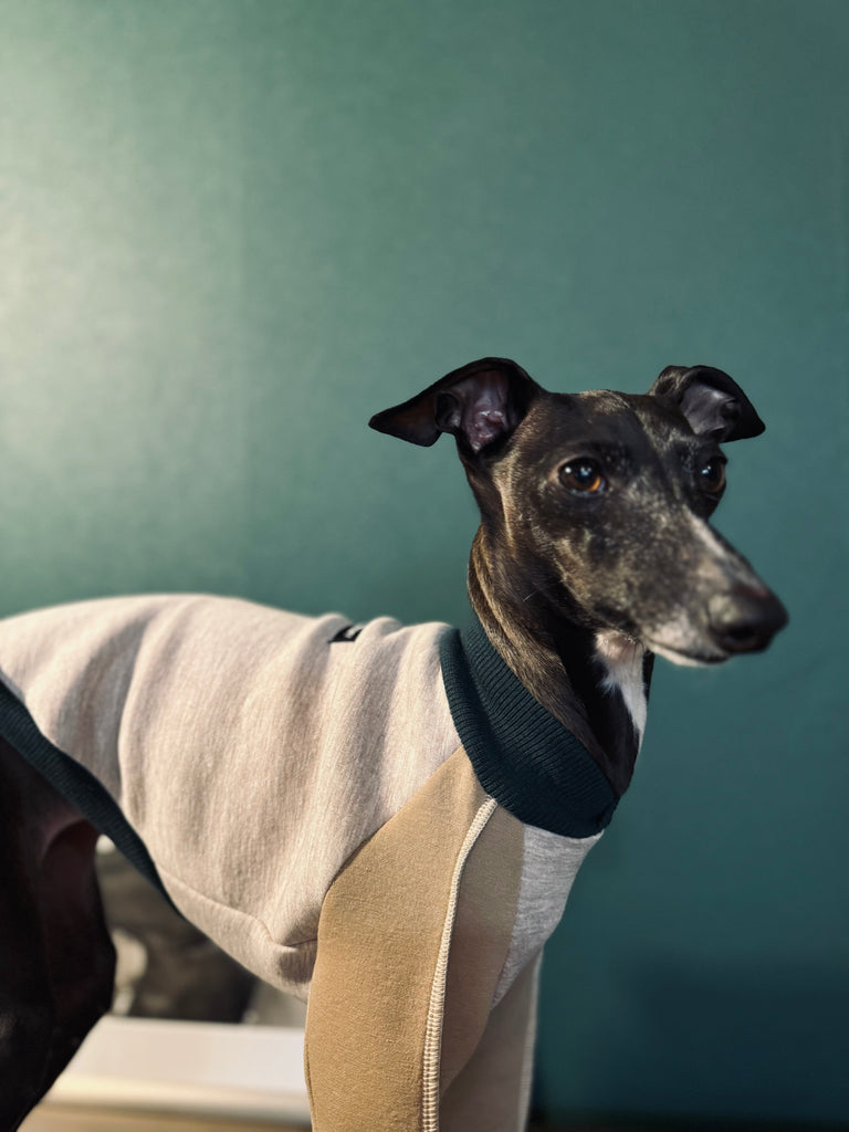 "HYGGE" Bonding Knit None Darts Pullover- Beige color