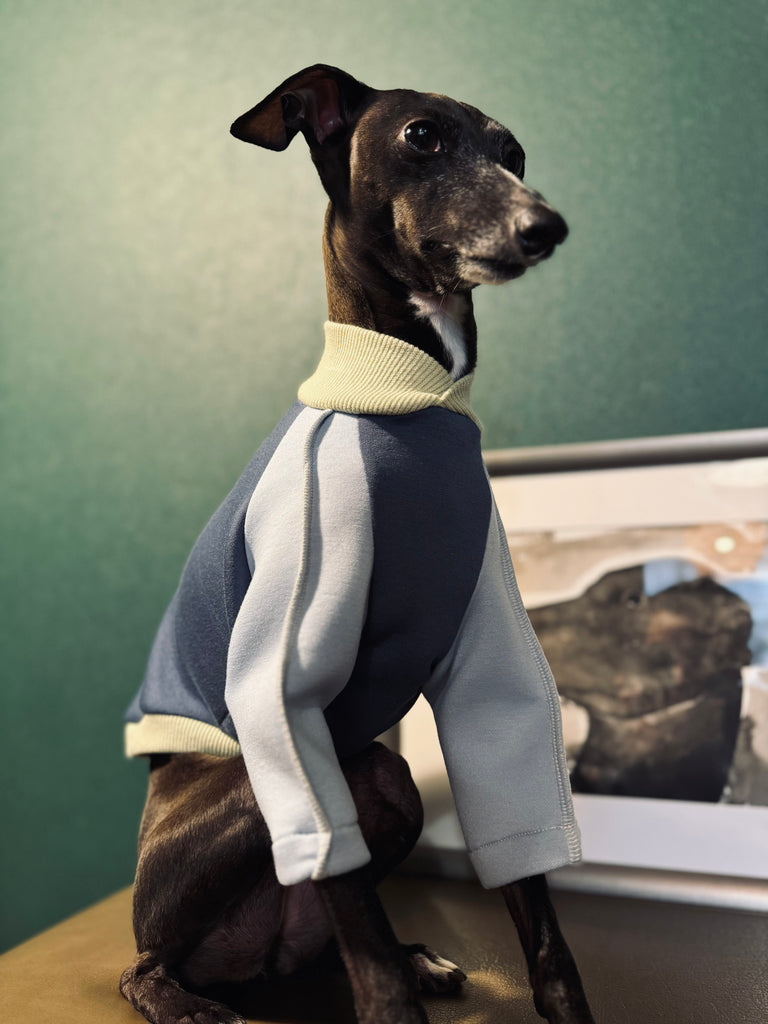 "HYGGE" Bonding Knit None Darts Pullover- Blue Color