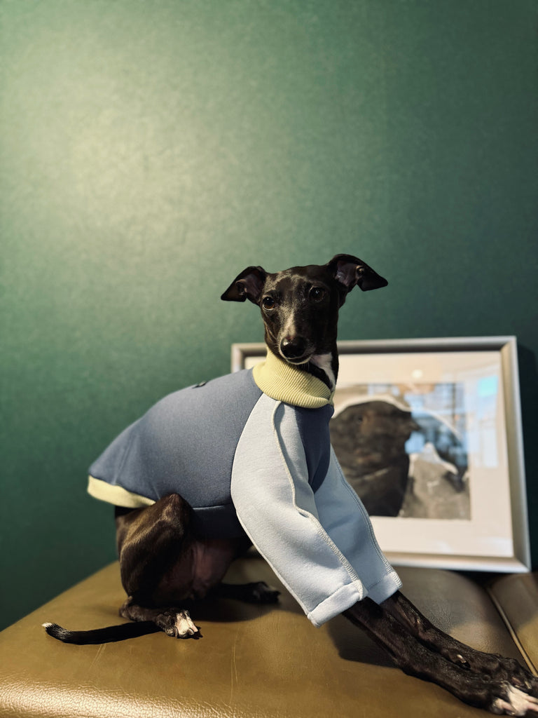 "HYGGE" Bonding Knit None Darts Pullover- Blue Color