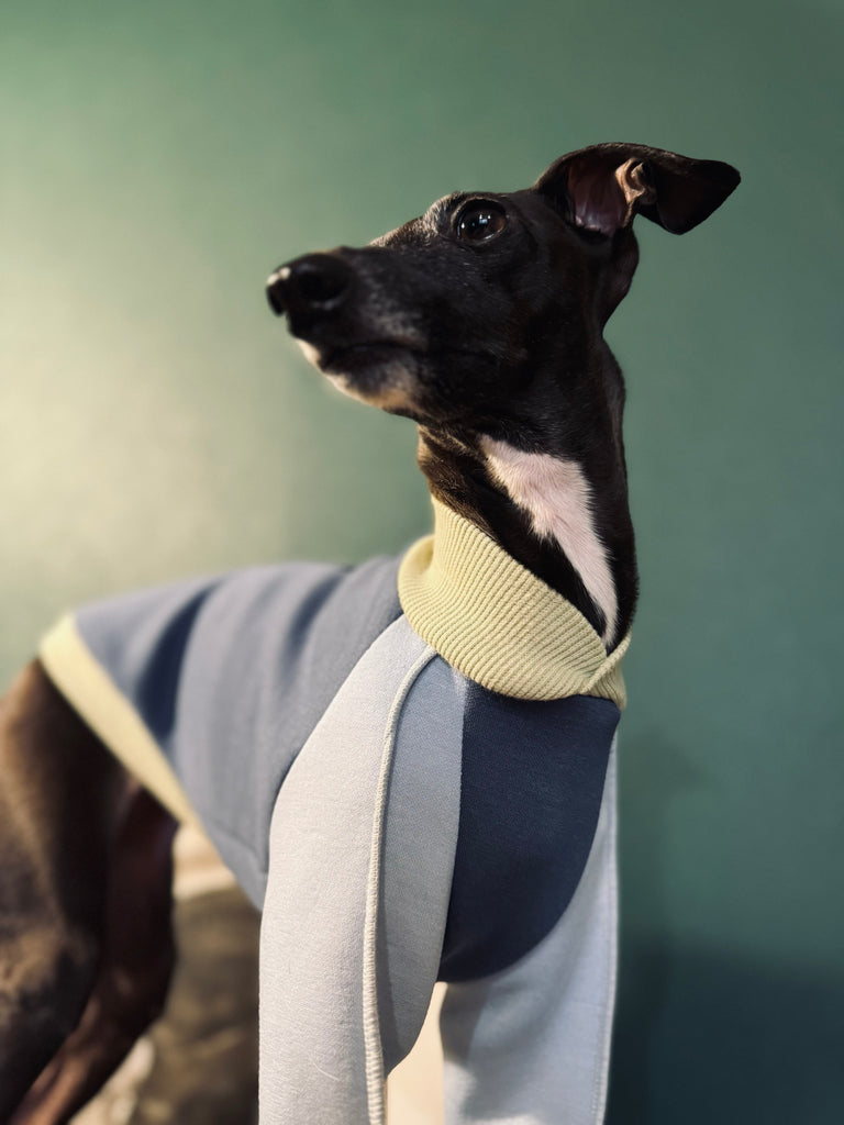 "HYGGE" Bonding Knit None Darts Pullover- Blue Color