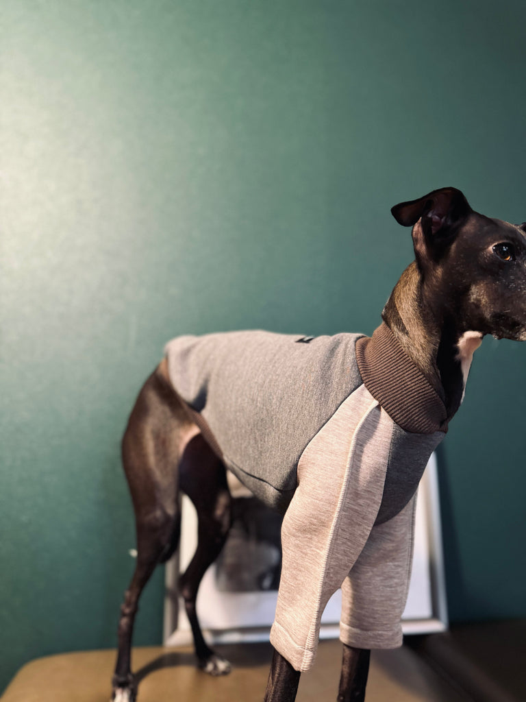 "HYGGE" Bonding Knit None Darts Pullover- Grey Color
