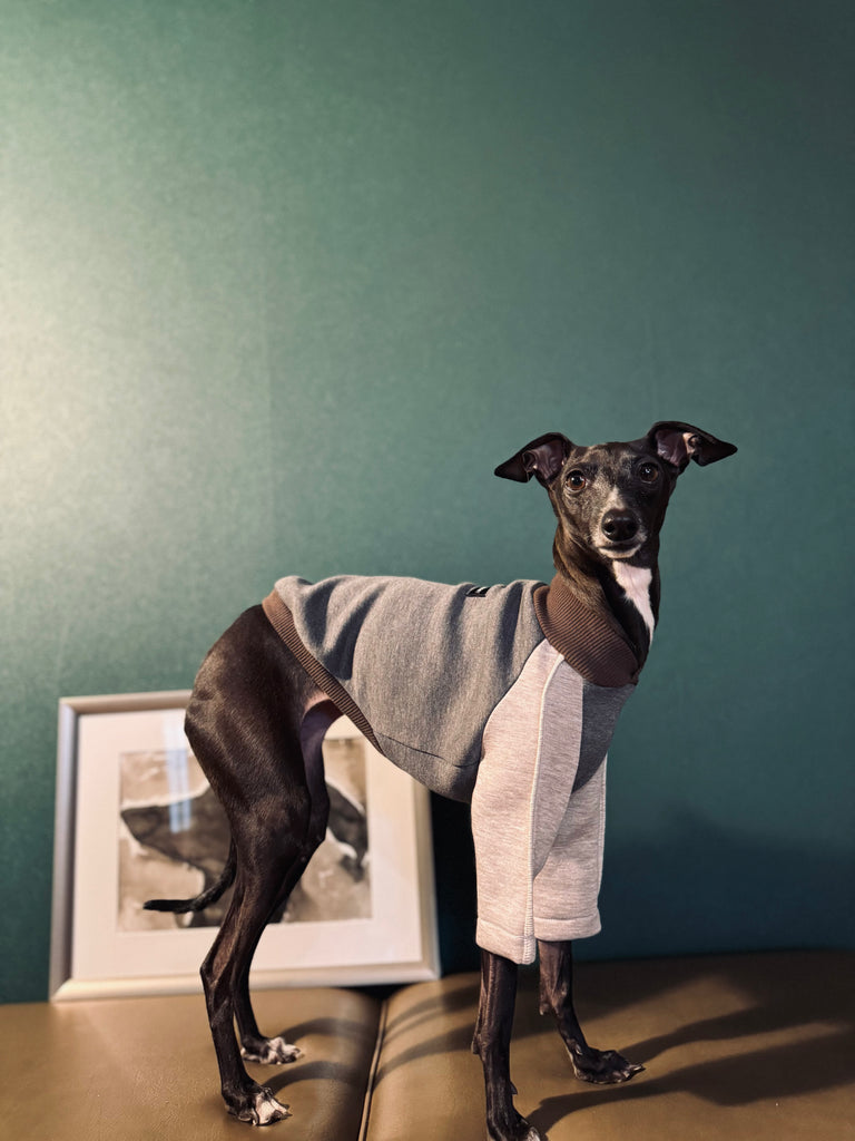 "HYGGE" Bonding Knit None Darts Pullover- Grey Color