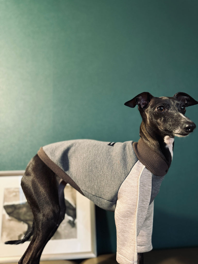 "HYGGE" Bonding Knit None Darts Pullover- Grey Color