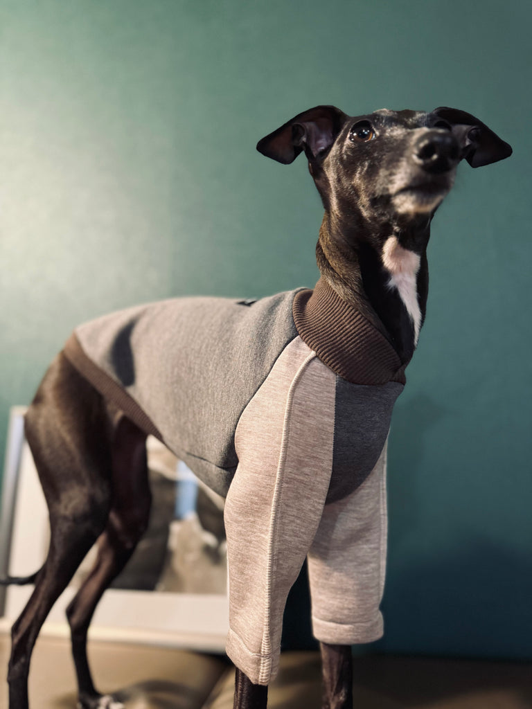 "HYGGE" Bonding Knit None Darts Pullover- Grey Color