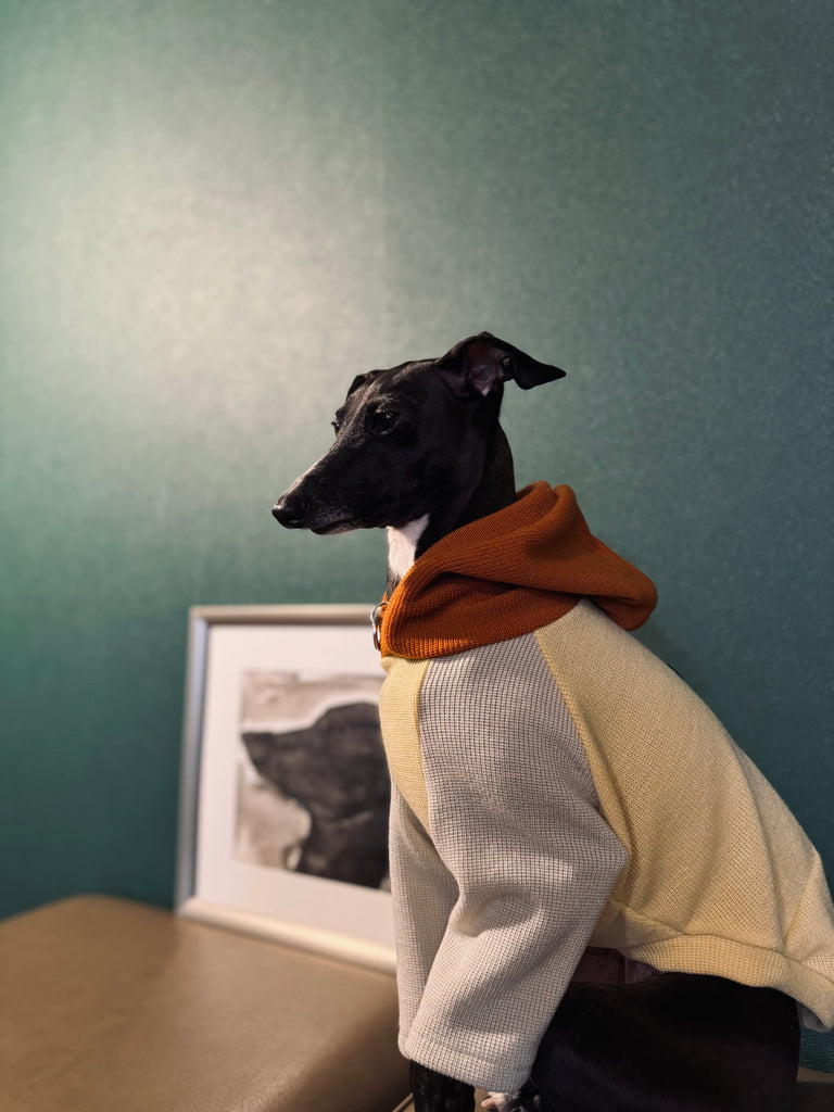 "HYGGE" Milano Knit Hoodie Pullover - Mustard Color