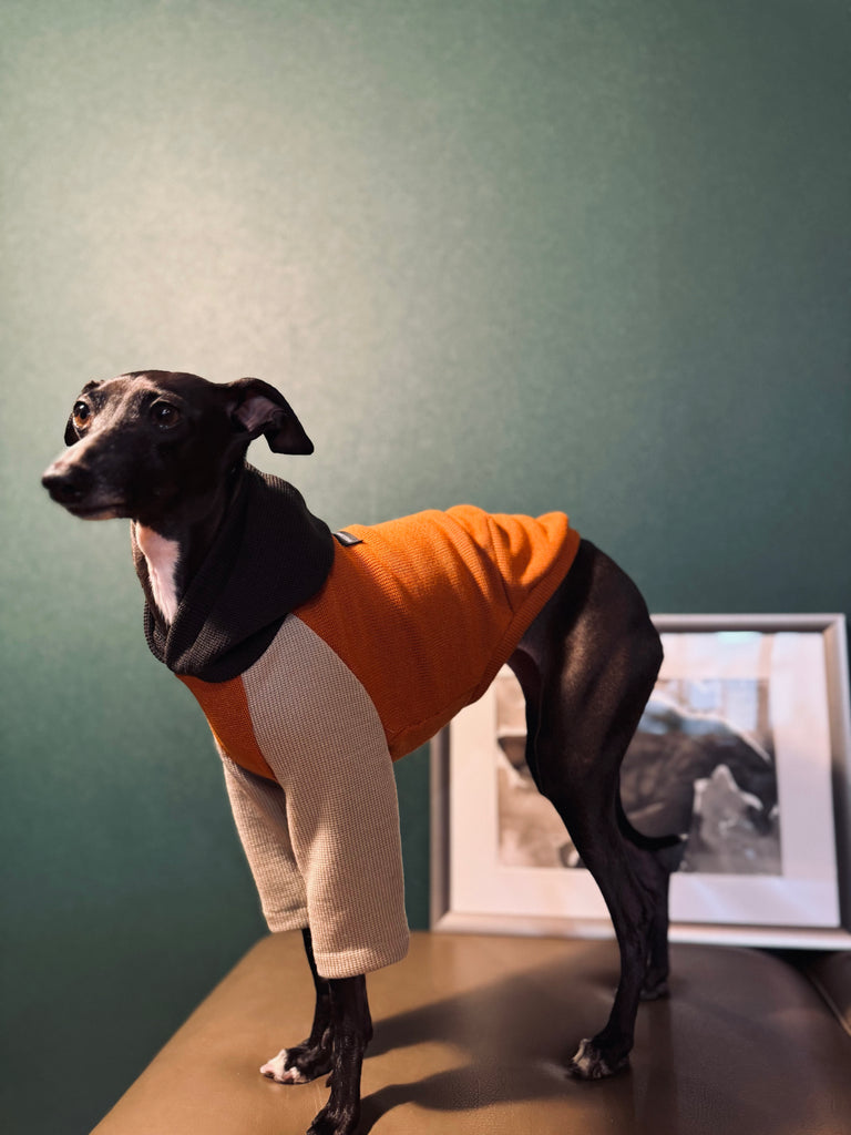 "HYGGE" Milano Knit Hoddie Pullover- Orange Color