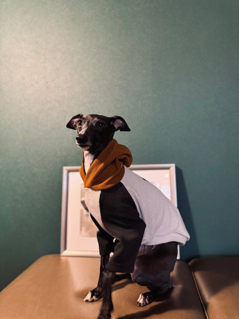 "HYGGE" Milano Knit Hoodie Pullover-Grey Color