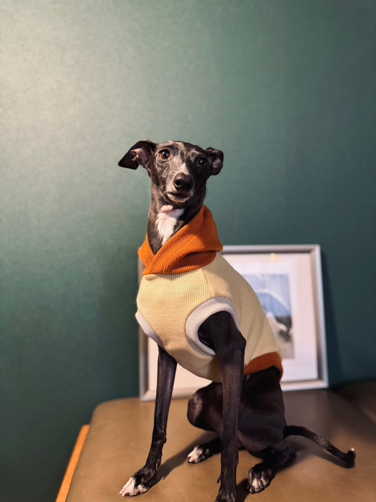 "HYGGE" Milano Knit Long Vest No-Sleeve -Yellow Color