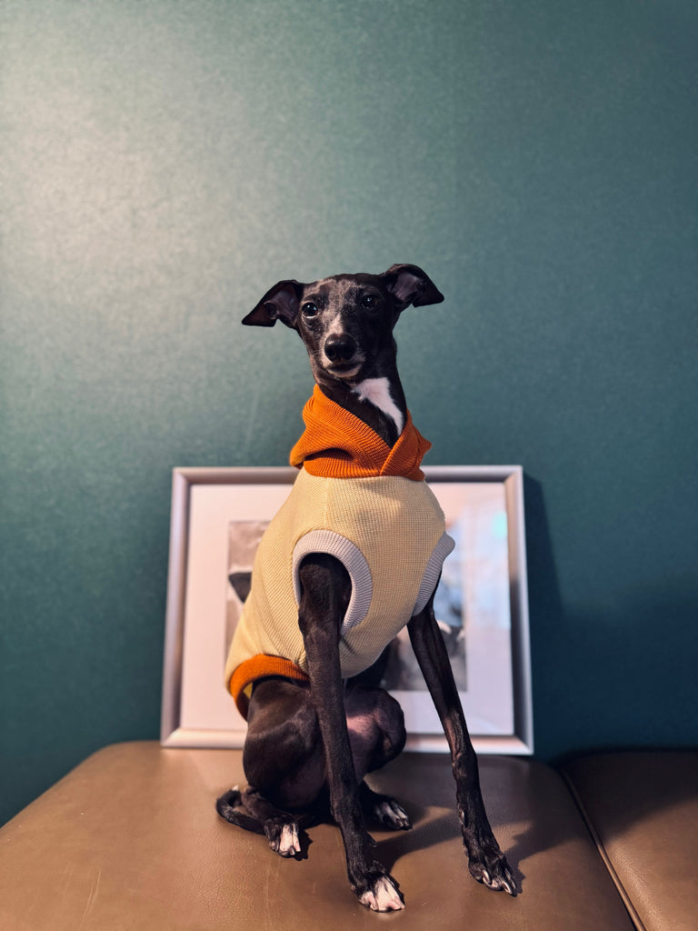 "HYGGE" Milano Knit Long Vest No-Sleeve -Yellow Color