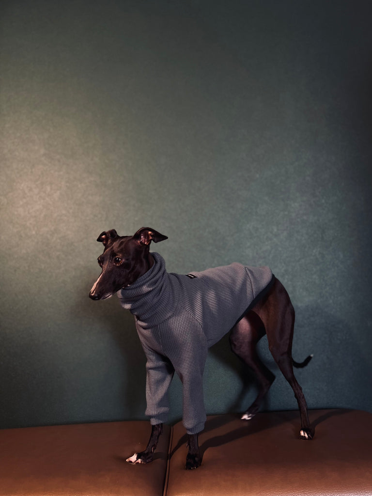 "Amore mio" Waffle pullover Bluegrey body color