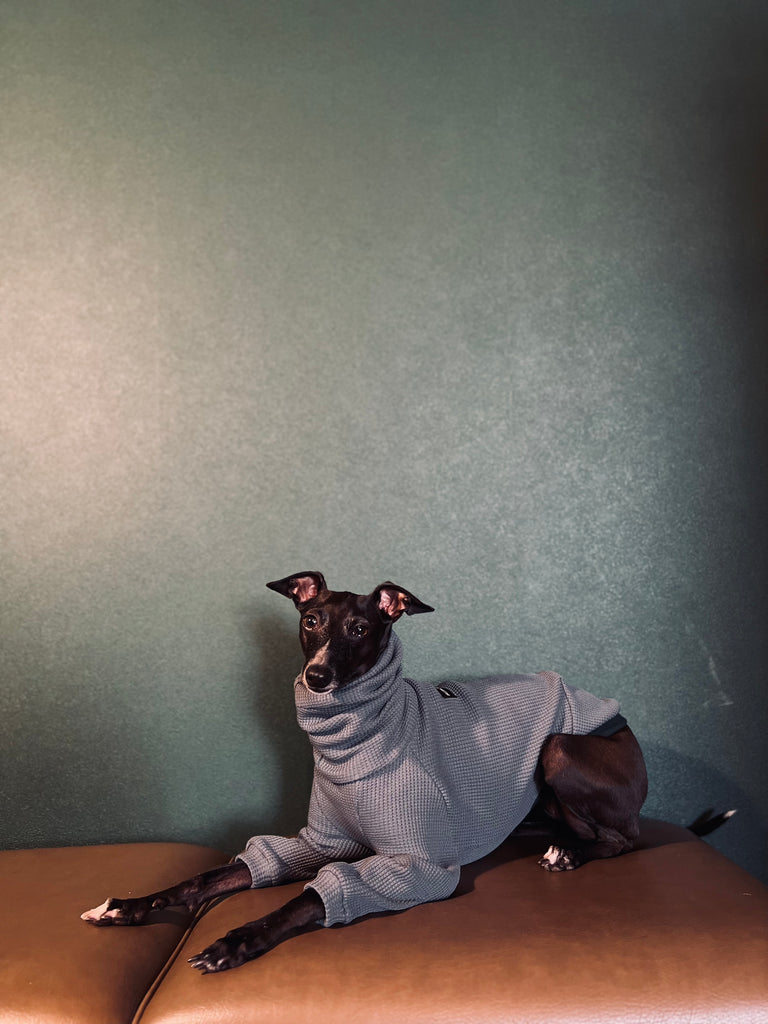 "Amore mio" Waffle pullover Bluegrey body color