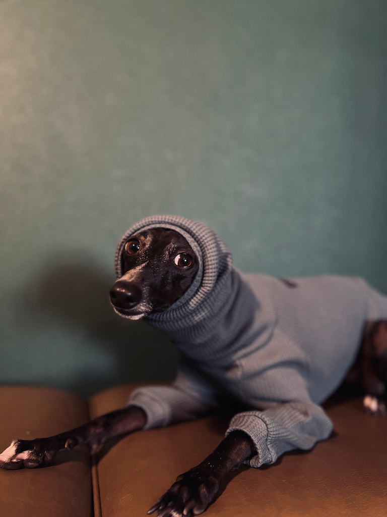 "Amore mio" Waffle pullover Bluegrey body color